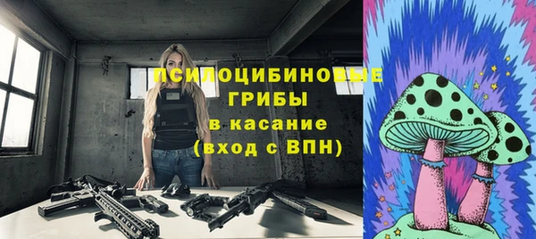 Альфа ПВП Горно-Алтайск
