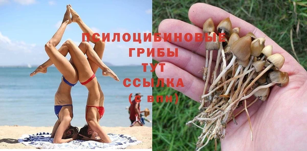 Альфа ПВП Горно-Алтайск
